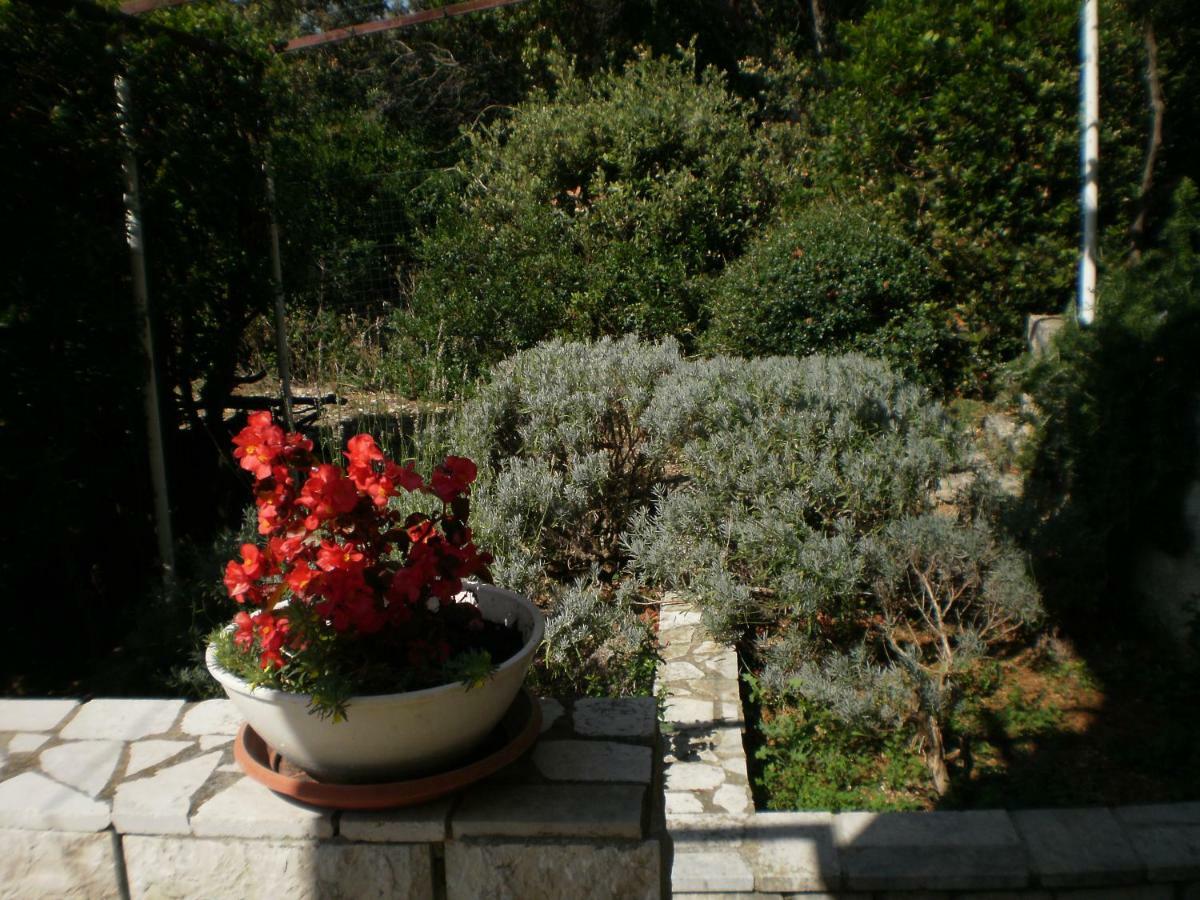 Apartmani Senka - Villa Oliver Martinšćica Exterior foto